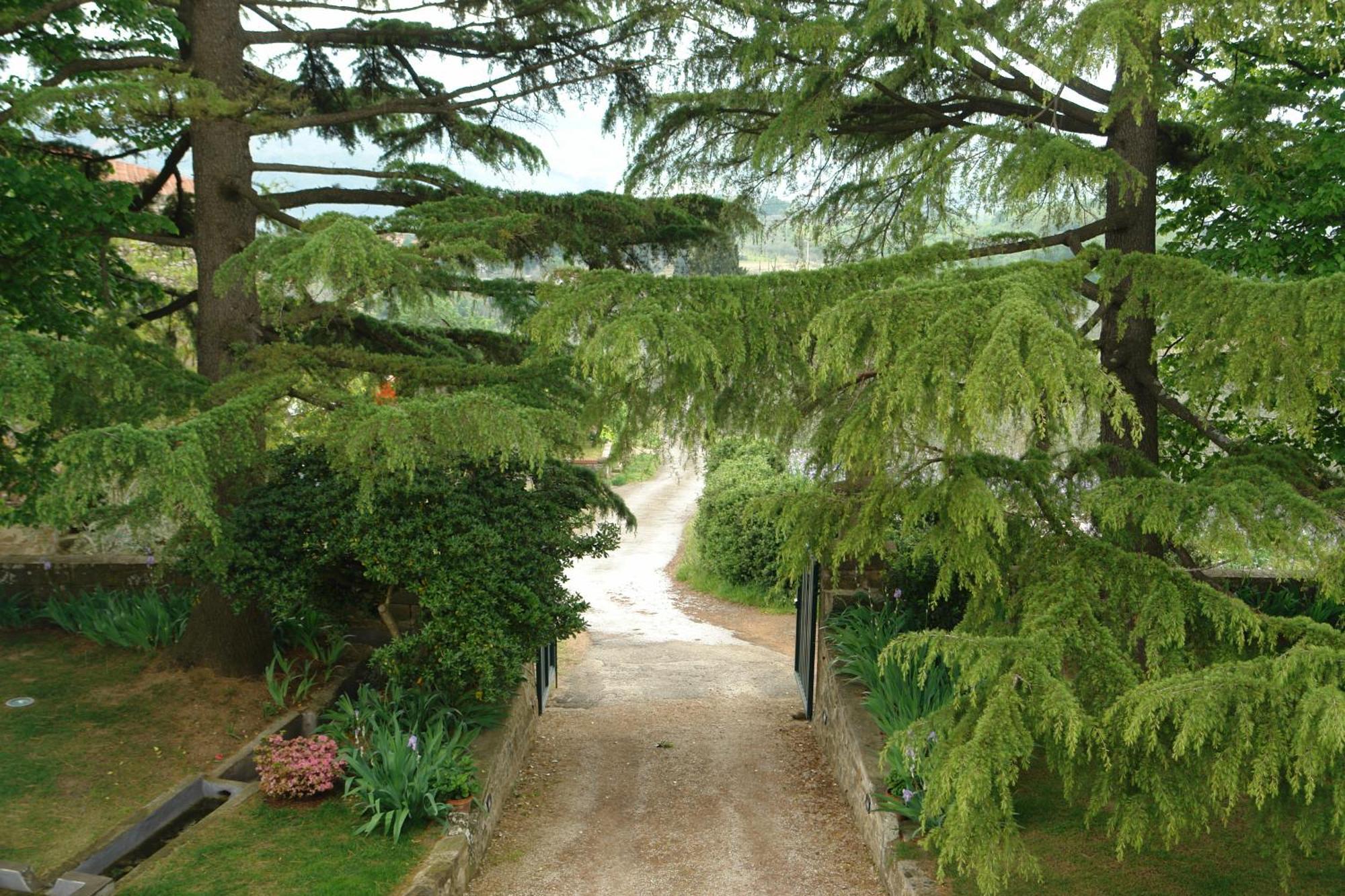 Relais Villa Belpoggio - Residenza D'Epoca Loro Ciuffenna Quarto foto